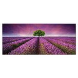 Homemania Muurfoto, motief: bloemen, natuur en landschap, voor woonkamer, slaapkamer, meerkleurig, 70 x 3 x 100 cm, HM20KNV70 x 100 – 19, polyester, hout