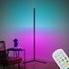 B.K.Licht - RGBIC LED Vloerlamp - Staande Lamp - Dimbaar - Zwart - 143cm - Met Afstandsbediening