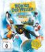 Plaion Könige der Wellen Blu-ray