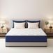 Matelas 135x190 cm, mousse à mémoire de forme avec gel, 7 zones de confort, avec ressorts ensachés