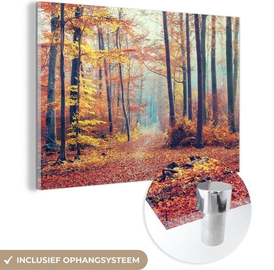MuchoWow® Glass Painting 150x100 cm - Acrylic Glass Painting - Forest - Autumn - Leaves - Photo on Glass - Paintings