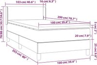 vidaXL Boxspring Bed - 100x200 cm - Donkergrijs - Fluweel