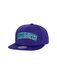Mitchell & Ness Pet 'Gorra mitchell & ness morada hornets meshed up snapback' lila