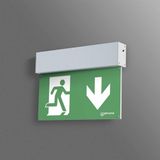 Beltrona M82501 LED-vluchtwegverlichting Montage en surface murale