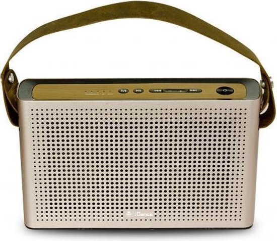 iDance Audio Slim Blue-2 GD Draagbare Radio Roségoud