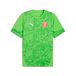 PUMA Girona FC Trainingsshirt Heren Groen 3XL