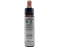Ainsworths Larch Bach Flower Remedy - 10 ml - Huile essentielle
