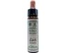 Ainsworths Larch Bach Flower Remedy - 10 ml - Huile essentielle