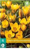 jub Bol.com X 15 Crocus Fuscotinctus