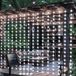 OEM Zonne-energie gordijnverlichting, 2,4m x 1,8m, 144 LED's, timer, 8 lichtstanden