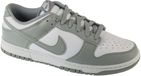 Nike Dunk Low White Light Smoke Grey