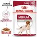Royal Canin Middelgroot Volwassen Natvoer 140 g