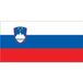 Lalizas Drapeau Slovène 20 x 30cm