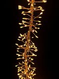 Brightium Ledstrip, 3 m, 600 leds, goud- en warmwit