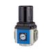 Riegler Drukregelaar »G«, incl. manometer en steunhoek, BG 400, G 3/8, ingangsdruk max. 10 bar, regelbereik 0,5-9 bar