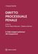 Diritto processuale penale. Dalle indagini preliminari alle impugnazioni (Vol. 2)