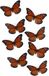 Gerimport Papillons de Noël - 12x pièces - orange - sur clip - 12 x 6 cm - plastique - décoration de sapin de Noël