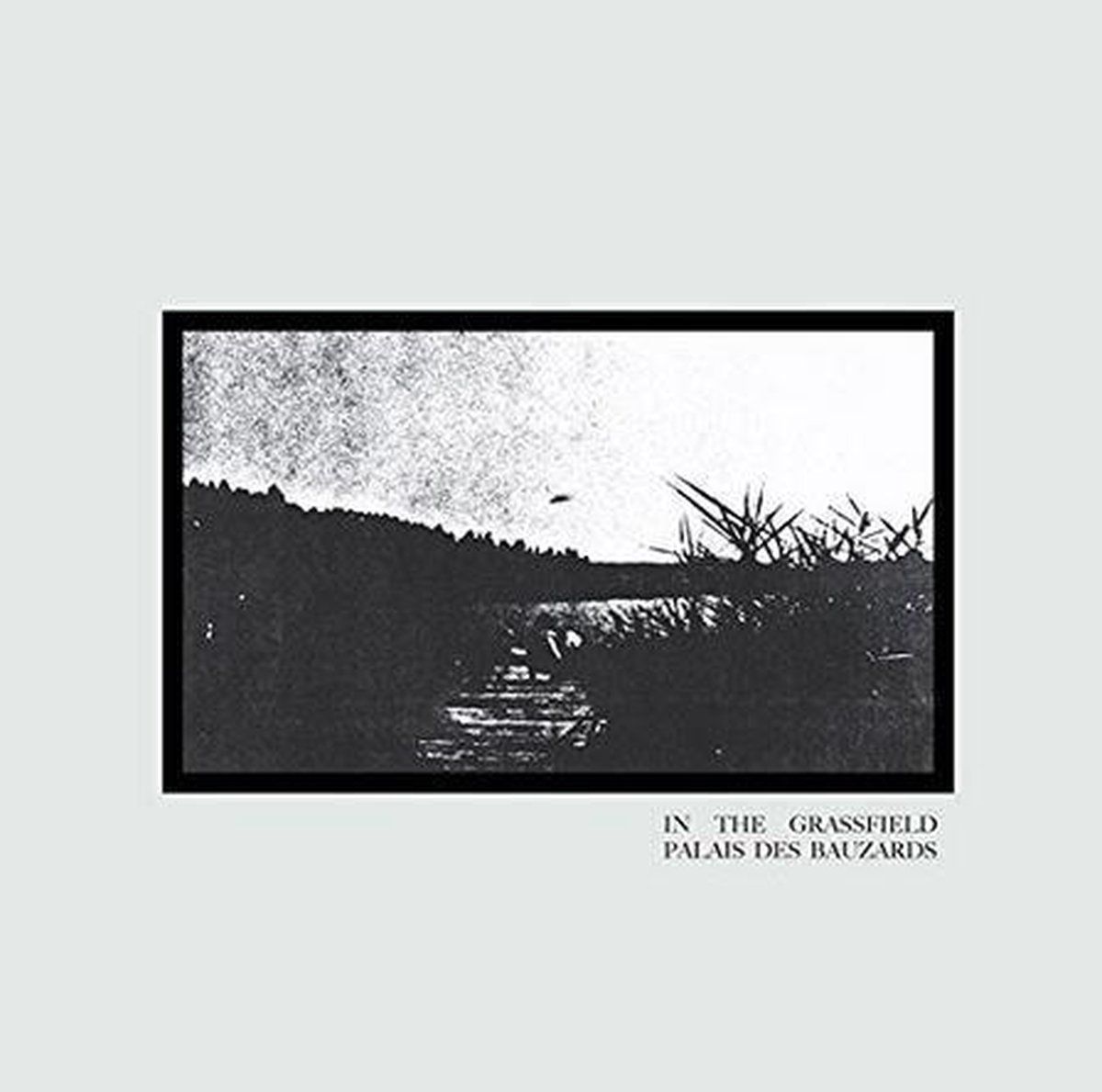 Sonic Rendezvous Palais Des Bauzards - In The Grassfield (LP) - 2090404828759