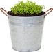 Mega Collections Emmer/plantenpot/bloempot Jean - zink - zilver - D20 X H17 cm