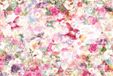 Komar Fotobehang - Abstracte Wandkunst met Bloemen & Vogels - Geometrisch Design - Roze Pastelkleuren - 400 x 260 cm