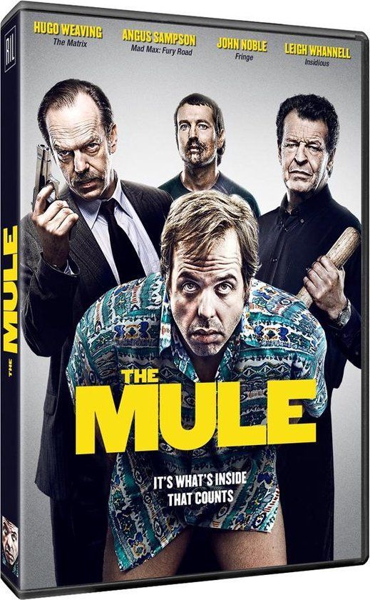 Remain in Light Mule, The (Fr) DVD
