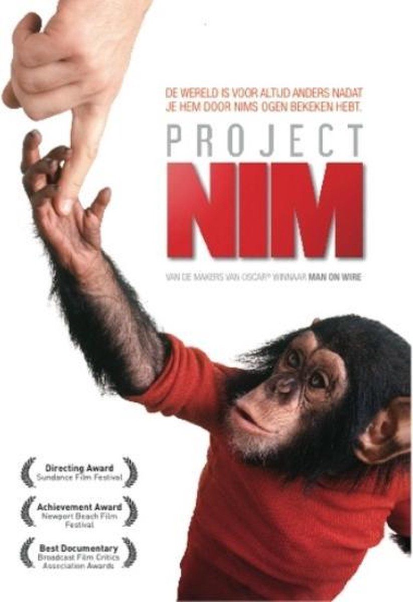 Remain in Light Project Nim / 2021