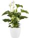 Elho Brussels Rond Wielen 47 - Grote Bloempot voor Binnen - 100% Gerecycled Plastic - Ø 46.5 x H 43.5 cm - Wit
