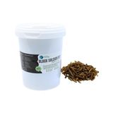 Larva Black Soldier Fly Aquariumplanten, 500 ml, 100% natuurlijk voer op basis van insecten voor vissen, vogels en reptielen, rijk aan eiwitten en vitamines