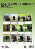 CalendarsRUs Labrador Retriever Zwart A3 Kalender 2027