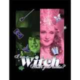 Pyramid International The Wizard Of Oz (Ik ben een heks) Collector Print (ingelijst)