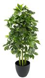Kunstplant Schefflera Kunstplant in pot van kunststof, Real Touch, kamerplant, decoratieplant, groene plant, zijden bloem, kantoorplant, scheeffleraplant, aralie, kunstboom, stralenaralie