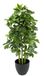 Kunstplant Schefflera Kunstplant in pot van kunststof, Real Touch, kamerplant, decoratieplant, groene plant, zijden bloem, kantoorplant, scheeffleraplant, aralie, kunstboom, stralenaralie