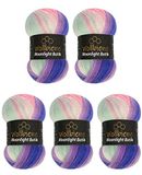 Wollbiene Moonlight Batik Breiwol, 5 x 100 g, totaal 500 g, 20% Turkse wol, kleurverloop (3090 paars, groen, roze)