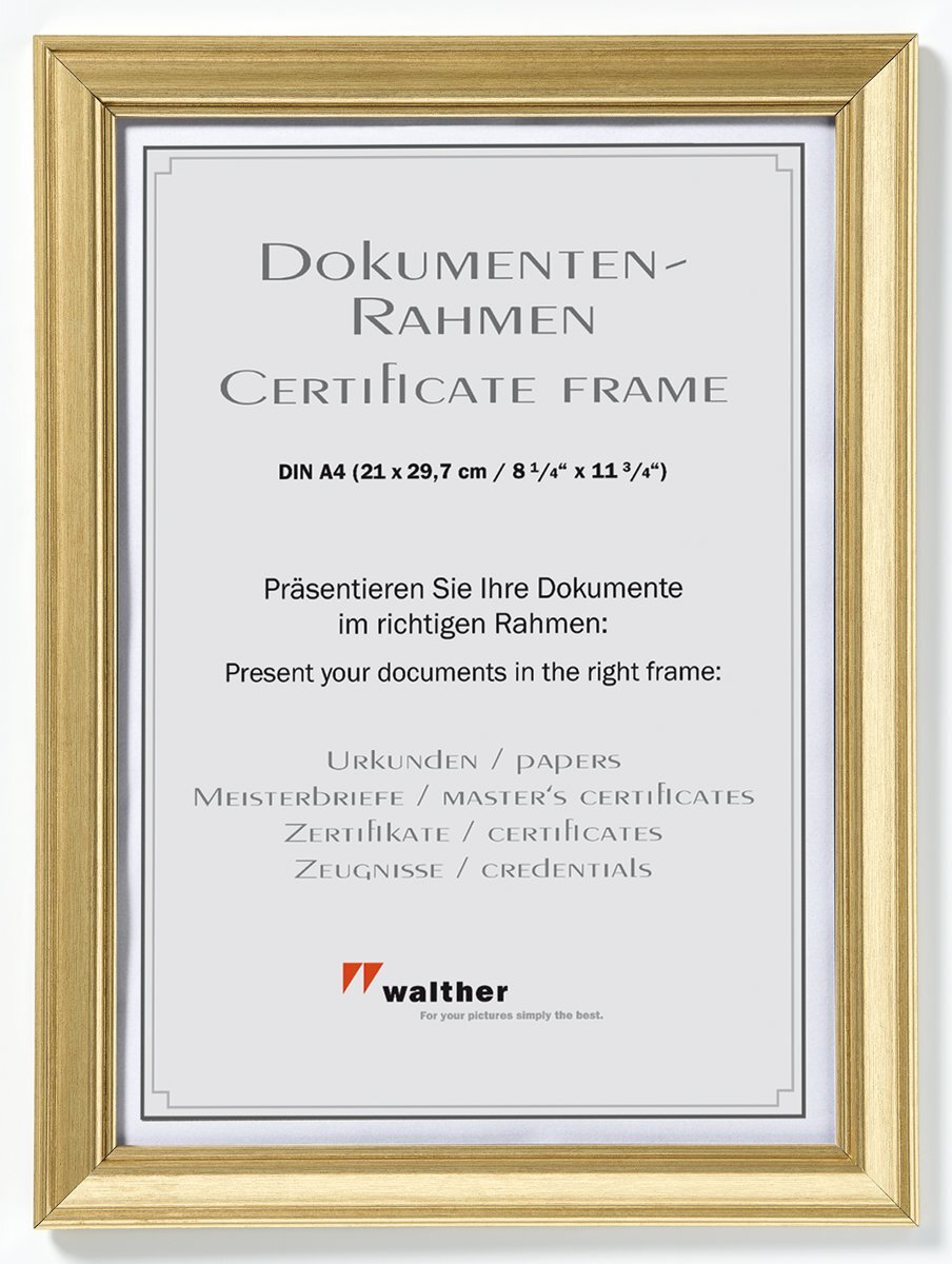 Walther Design Lounge Fotolijst Fotoformaat 21 x 29 7 cm A 4 Goud