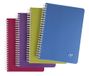 Clairefontaine 329526C Collectie Linicolor Intensive Pak met 10 Notitieboekjes met Spiraalbinding - 9x14 cm - 100 Pagina's Gelijnd - Wit Papier 90 g - Polypro Omslag Transparant - Willekeurige Felle Kleuren