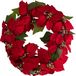 Home Styling Collection Couronne de Noël pour la porte, poinsettia, 45 cm
