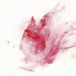 Duo Katell Boisneau & Matthieu Tomi - Duo Impressioniste (LP)