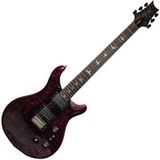 Paul Reed Smith PRS Custom 24-08 10 Top Sprayers Choice #0427384
