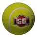 SS Cr.Balls0011 Cricket Ball, uniseks, meerkleurig, maat S