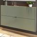 Germania Schoenenkast Elton | Satijngroen | 140 x 19 x 85 cm