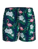 JACK&JONES JPSTMAUI JJSWIM NOVELTY AOP AKM PLS Heren Zwembroeken