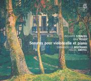 Sonata Harmonia Mundi Strauss, Reger: Sonates pour violoncelle et piano