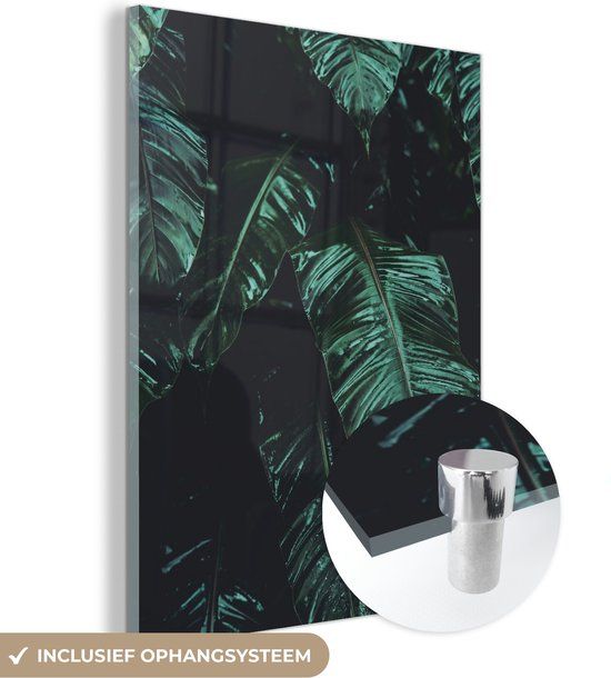MuchoWow® Glass Painting 60x80 cm - Acrylic Glass Painting - Jungle - Palm Tree - Leaves - Tropical - Photo on Glass - Paintings