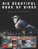Big Bol Home Decor & Relaxing Picture Books- Big Beautiful Book of Birds