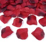 Merkloos / Sans marque Partydeco Rozenblaadjes snippers - rood - 1000x stuks - Bruiloft decoratie