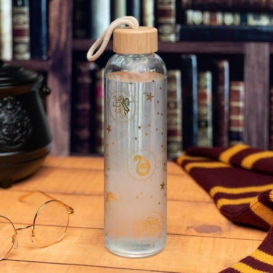 Harry Potter Glass Water Bottle - 590ml - Multicolor