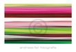 Andreas Feil Kunstdruk - Fotografie II 138x95cm