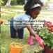 The Young Gardener’s Guide