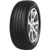 Minerva F209 205/55 R16 91V