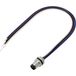 TRU COMPONENTS TC-13751972 Aansluitkabel M8 x 1 Aantal polen (sensoren): 4 Stekker, recht 0.2 m 1 stuk(s)